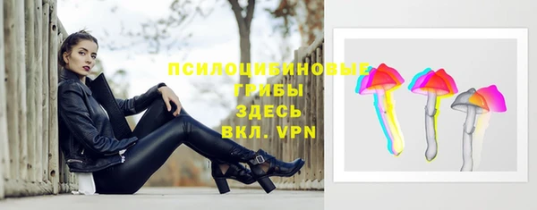 соль ск Алексин