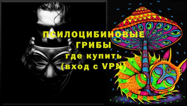 соль ск Алексин