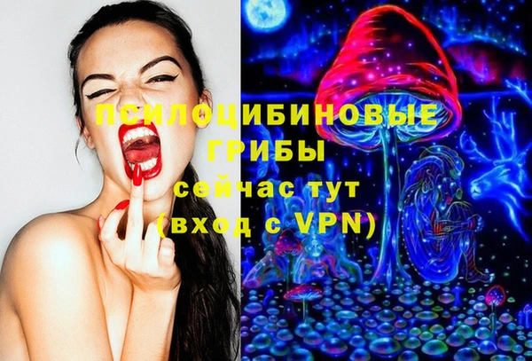 соль ск Алексин