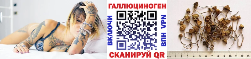 Псилоцибиновые грибы ЛСД  что такое   Дмитров 