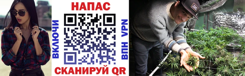 Конопля SATIVA & INDICA магазин продажи блэк спрут рабочий сайт Дмитров